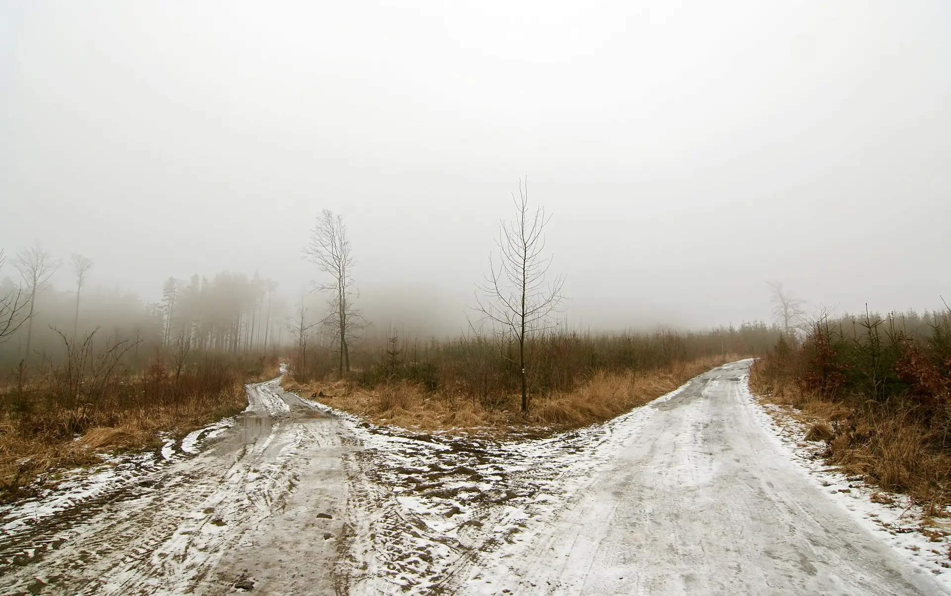 Bleak crossroads