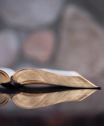 aaron-burden-cmIqkMPfpMQ-unsplash aaron-burden-cmIqkMPfpMQ-unsplash