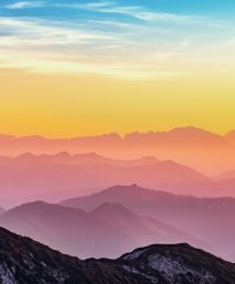 simon-berger-twukN12EN7c-unsplash simon-berger-twukN12EN7c-unsplash